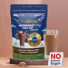 Load image into Gallery viewer, Nutriboost Chocolate Milk Mix (Pouch 400gm)
