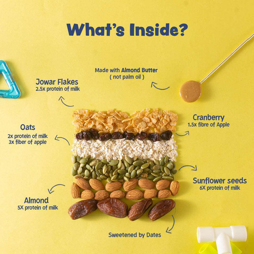 Protein & Fibre Mini Bar(8 Chocolate + 8 Blueberry)- 16 X 12 g