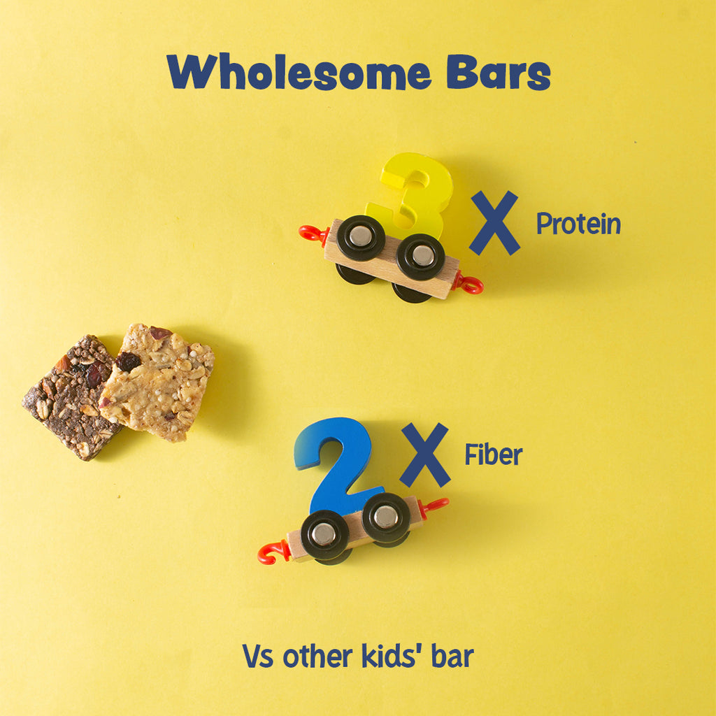 Protein & Fibre Mini Bar(8 Chocolate + 8 Blueberry)- 16 X 12 g